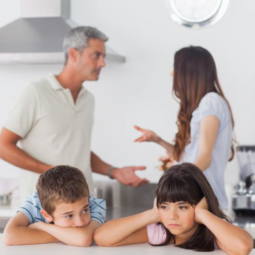 Family Problem Solution